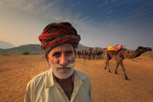 Camels and Herder entering in to Pushkar