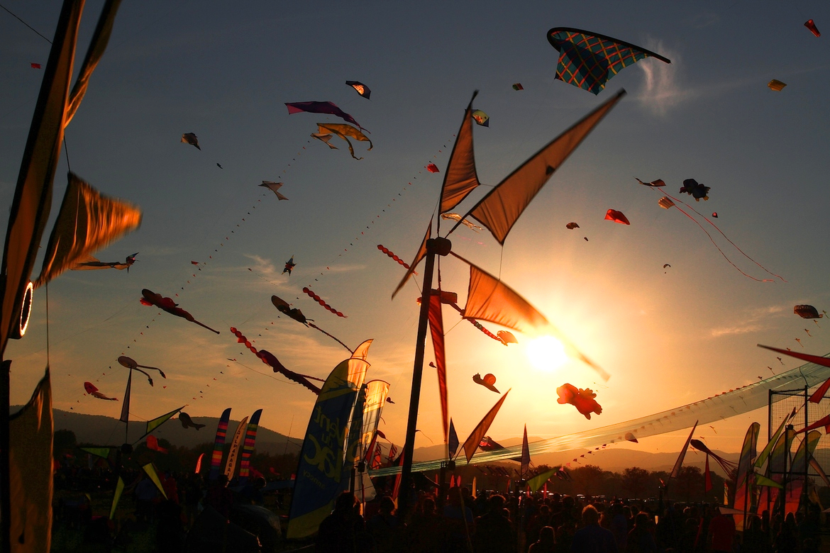 The kites in International Kite Festival