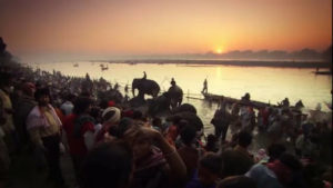 Sonepur banks of the sacred river Ganga