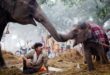 A caretaker looks on as old elephant rubs trunks with her daughter during the Sonepur Mela