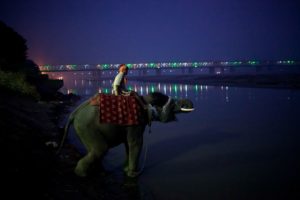 A man sits on his elephant as it drinks water from the Ganges river during the the Sonepur Mela